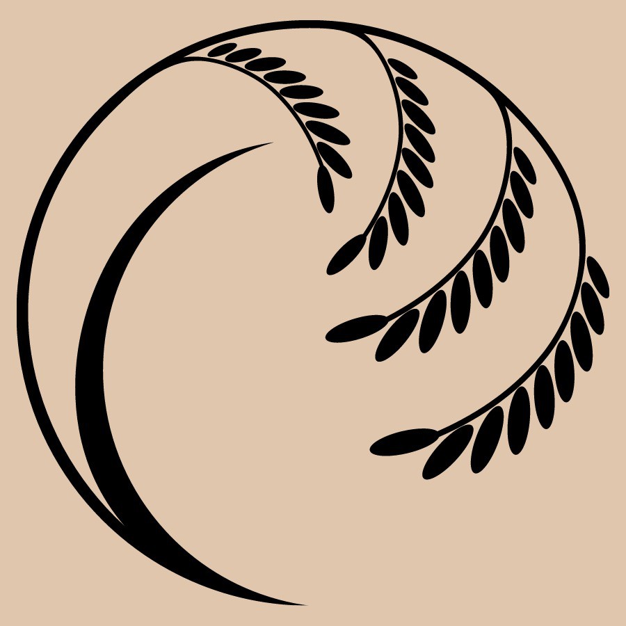 Bánh gạo lứt ăn kiêng, Cửa hàng trực tuyến | BigBuy360 - bigbuy360.vn