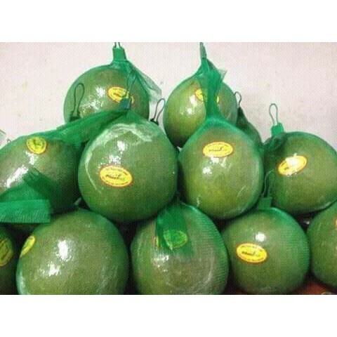 1kg Túi Lưới Xanh 30cm, 35cm, 40cm, 50cm bọc bưởi