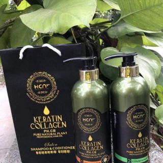 Dầu cặp collagen