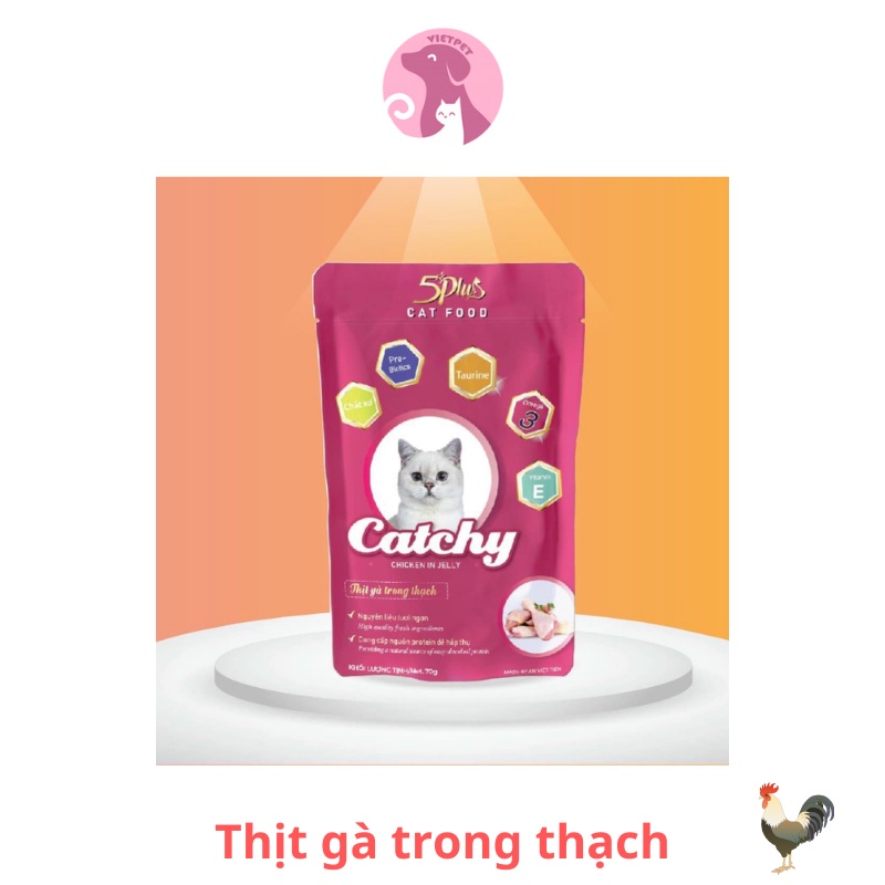 _pate cho mèo Catchy 70gr
