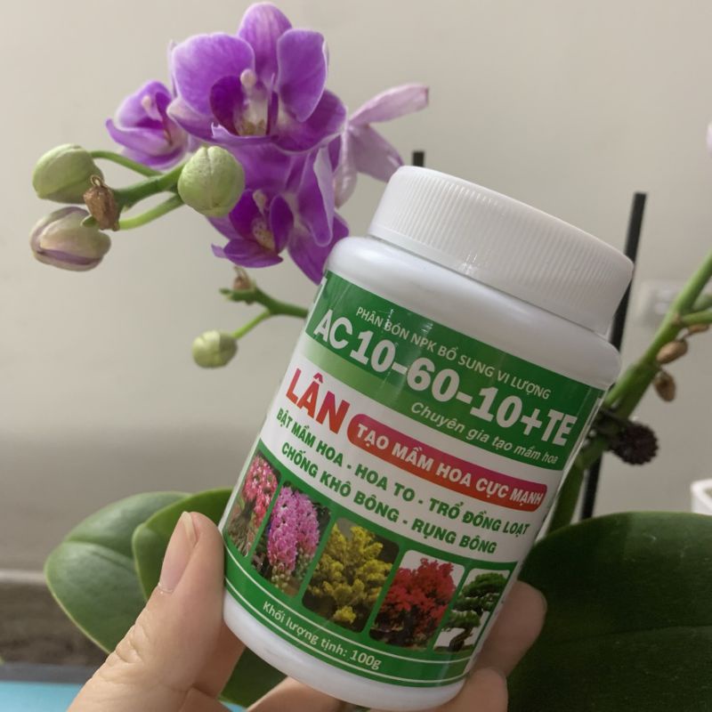 Phân bón lá AC 10-60-10 100gr tạo mầm hoa cực mạnh