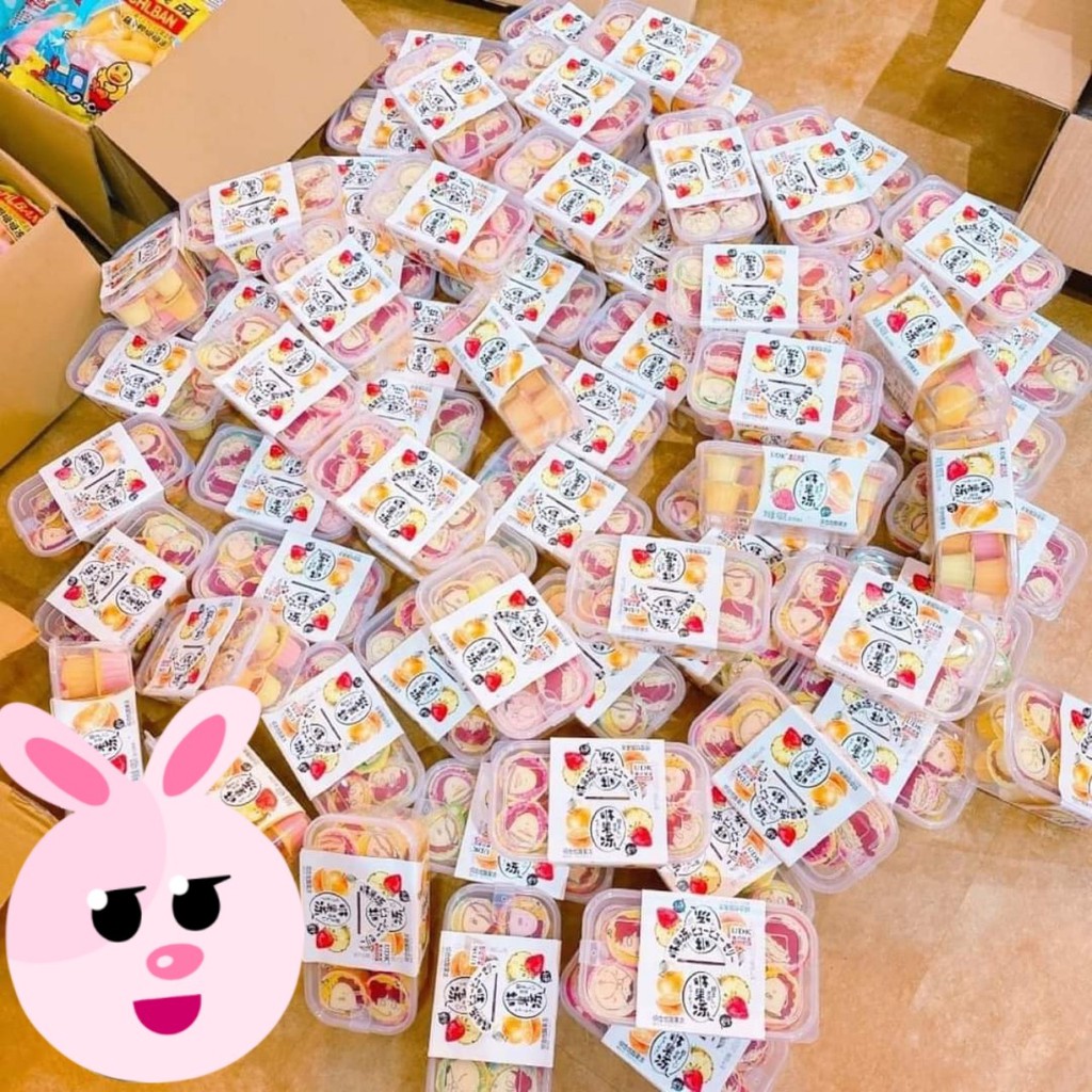 [FREESHIP] TÚI PUDDING TRÁI CÂY HONGKONG 400G M