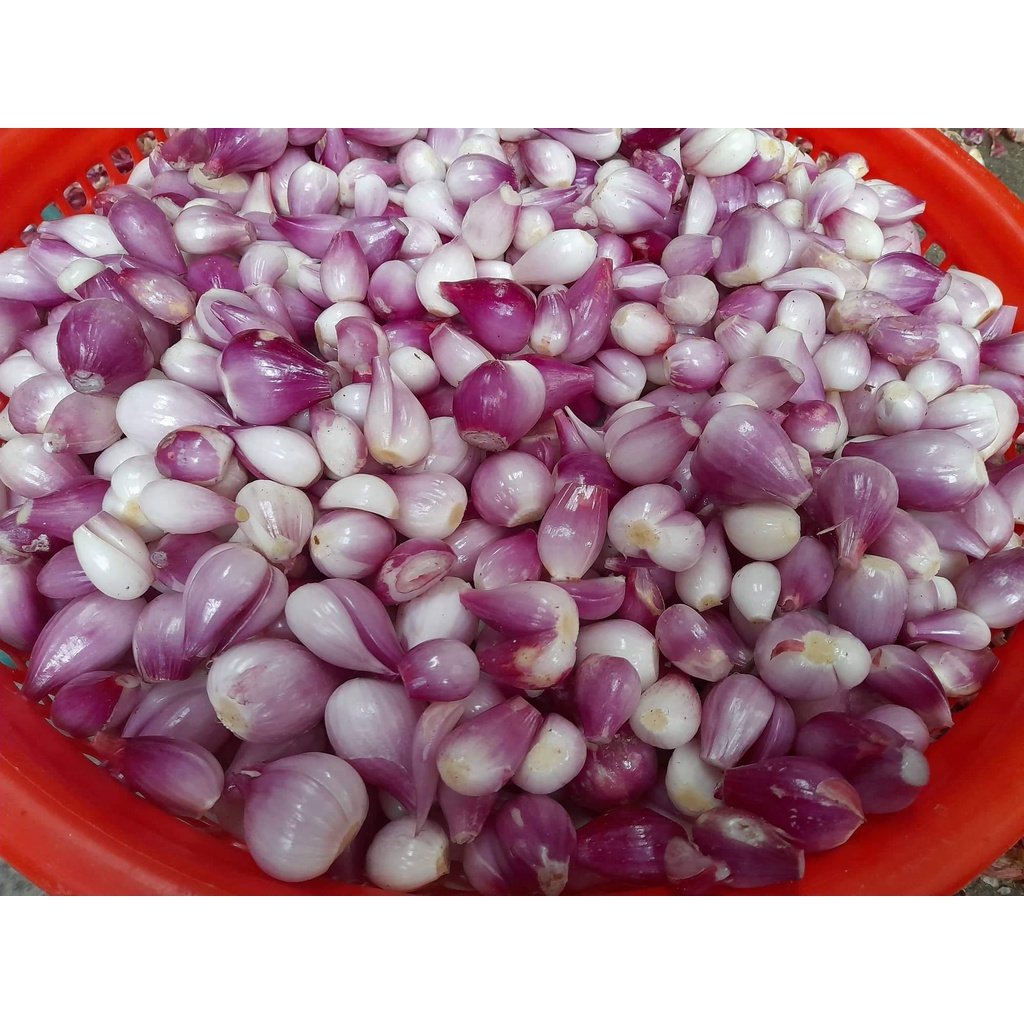 Hành LÝ SƠN Tách Vỏ Hút Chân Không - Gói 500gr