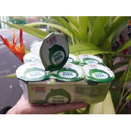 THẠCH DỪA ÁNH HỒNG LỐC 6 LY *90GR | BigBuy360 - bigbuy360.vn