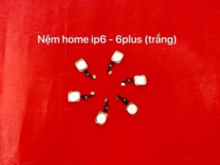 Nút home bộ iphone 6G-6plus-6S-6s plus
