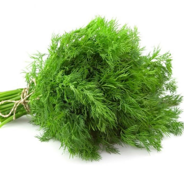 HẠT GIỐNG RAU THÌ LÀ - GÓI 5 GRAM