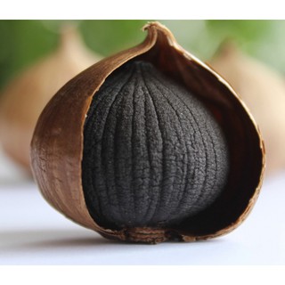 1KG TỎI ĐEN CÔ ĐƠN - TỎI ĐEN 1 NHÁNH CÔNG NGHỆ NHẬT BẢN