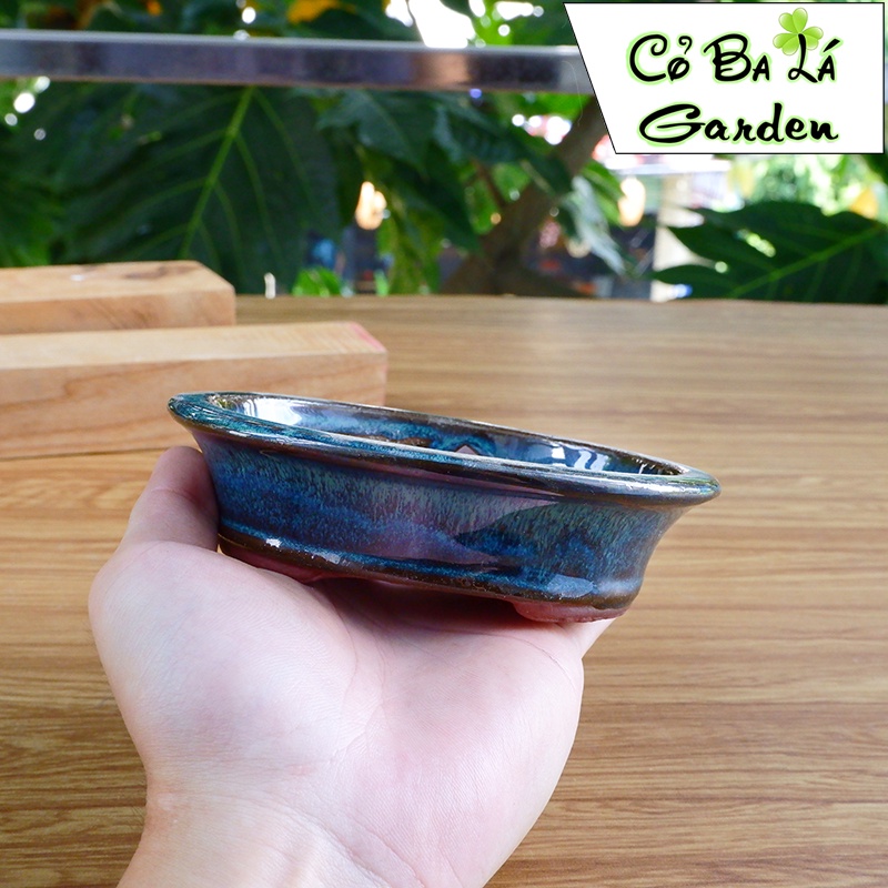 Chậu sứ bát tràng Hình Oval miệng Loe - phù hù hợp trồng bonsai-sen đá xương rồng