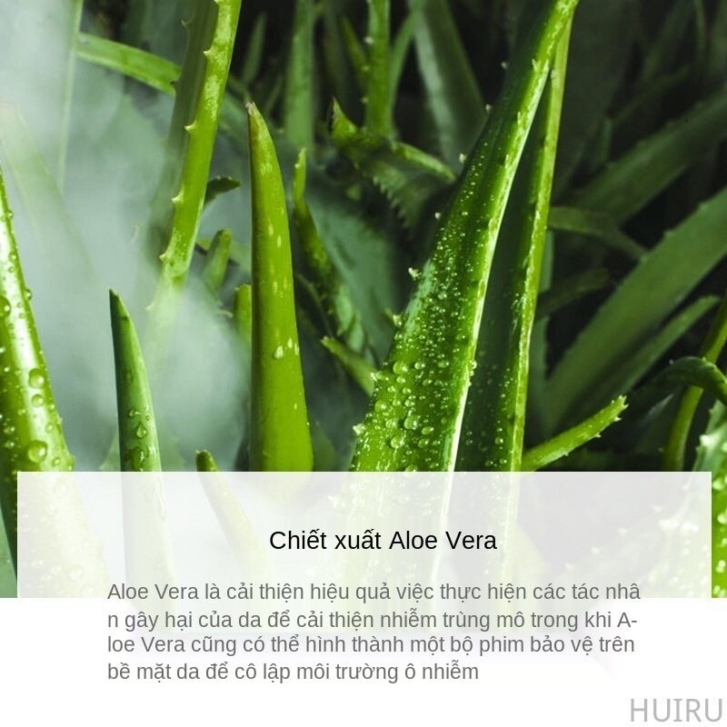 Mặt Nạ Ngủ Gel Lô Hội Bioaqua Dưỡng Ẩm Se Khít Lỗ Chân Lông Giúp Sáng Da