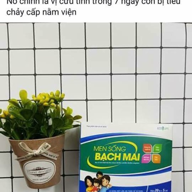 Men Bạch Mai