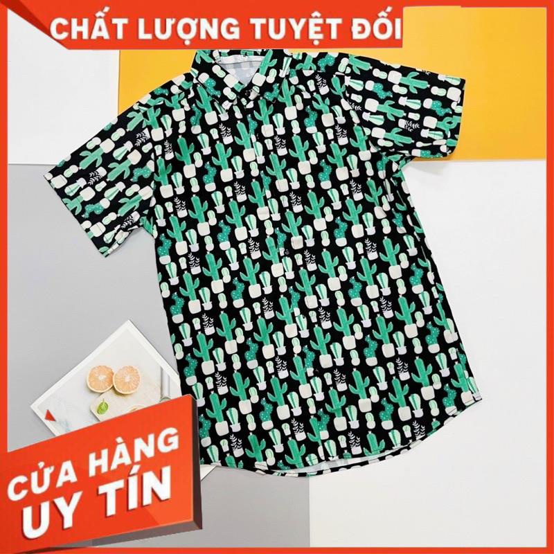 Áo Sơ Mi In Hình 3D Cây Xương Rồng Vui Nhộn, Mặc Mát, Phù Hợp Đi Chơi, Đi Biển