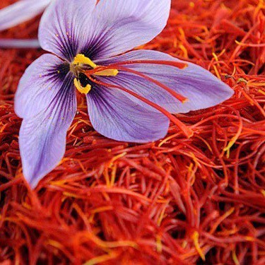 [SAFFRON ORGANIC NEGIN 1GR] THẦN DƯỢC NHUỴ HOA NGHỆ TÂY - THẢO DƯỢC "100% NGUYÊN CHẤT"‎ HÀNG CÔNG TY BAHRAMAN IRAN | BigBuy360 - bigbuy360.vn