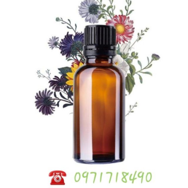 Combo 10 chai thủy tinh nâu 10ml loại nhỏ giọt