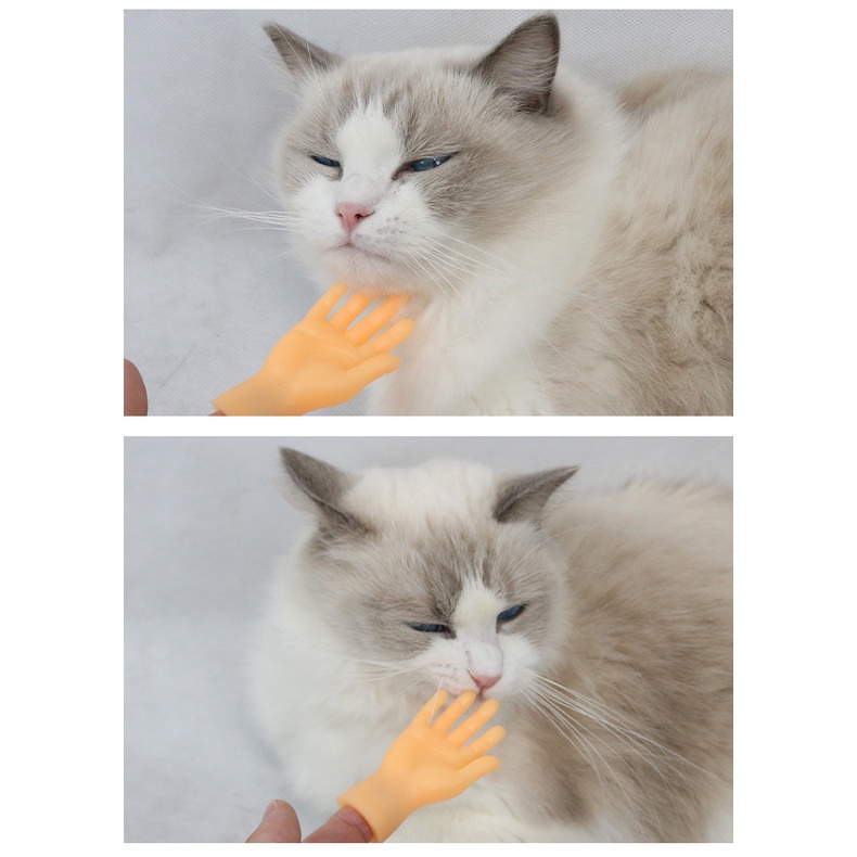 Đồ chơi bàn tay mini massage chơi đùa cùng mèo cưng
