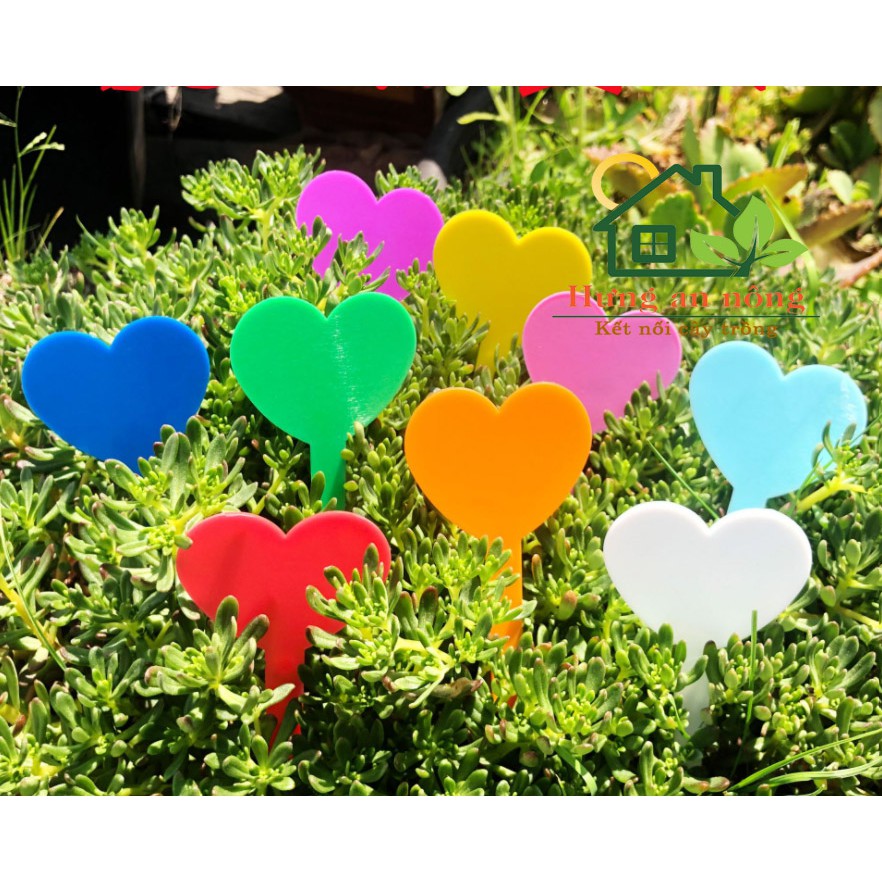 50/100 thẻ cắm name tag hình trái tim nhựa PP cao cấp dùng ghi nhớ tên giống cây size 4.6x8.2cmx10cm
