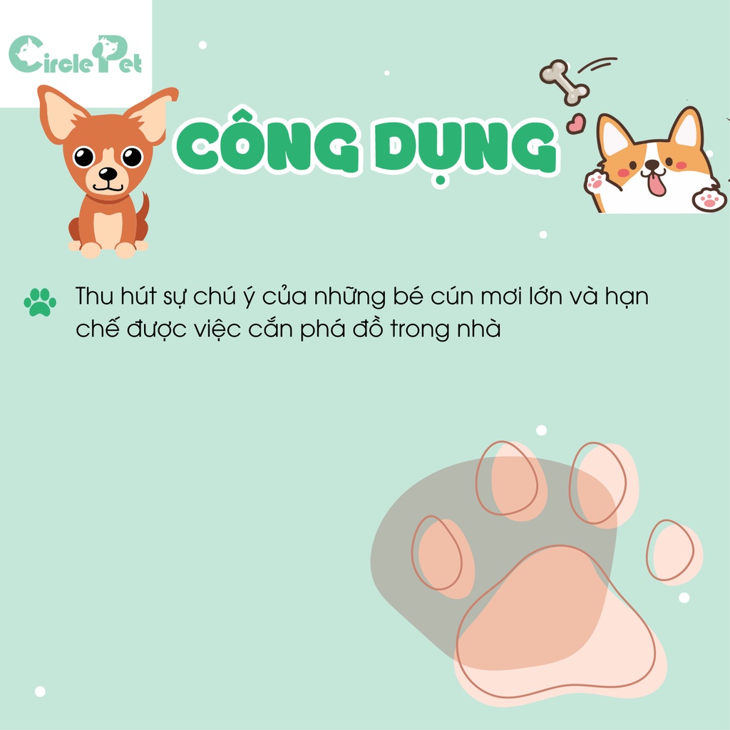 Đồ Chơi Pian Pian Dạng Bóng Trong Suốt Dành Cho Chó An Toàn Siêu Bên - Circle Pet