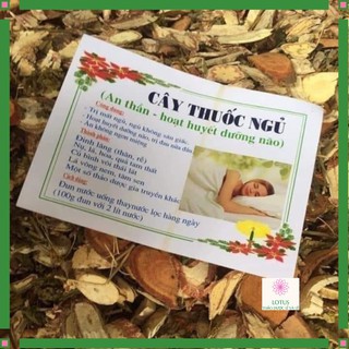 Cây thuốc ngủ an thần nhiều vị trong 1 kg