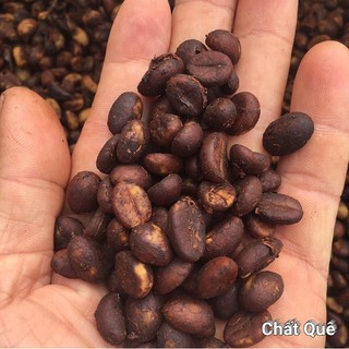 ROBUSTA Cà phê hạt rang xay+ pha máy pha phin cafe dak lak