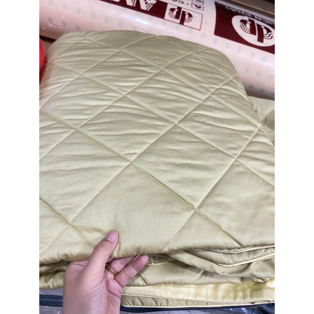 Bộ Drap chun chần EVERON MDSC038