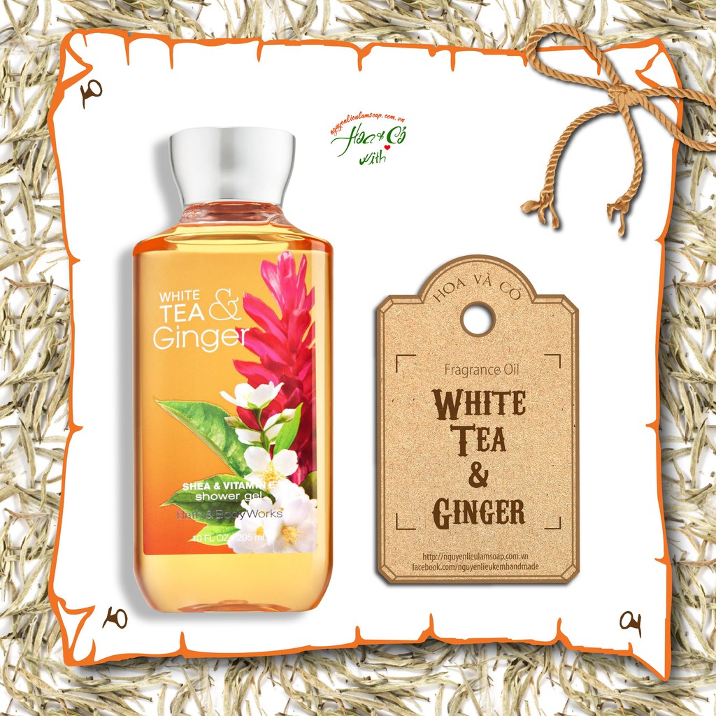 HƯƠNG NƯỚC HOA WHITE TEA & GINGER