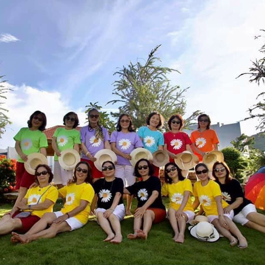 áo thun hoa cúc cho gia đình, nhóm, công ty