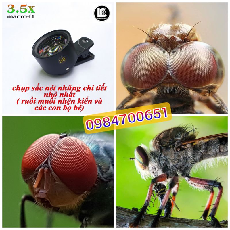 lens macro, Ống kính 3.5x chụp côn trùng nhỏ, giọt sương