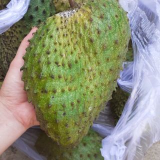 Trà Trái Mãng Cầu - 100Gr