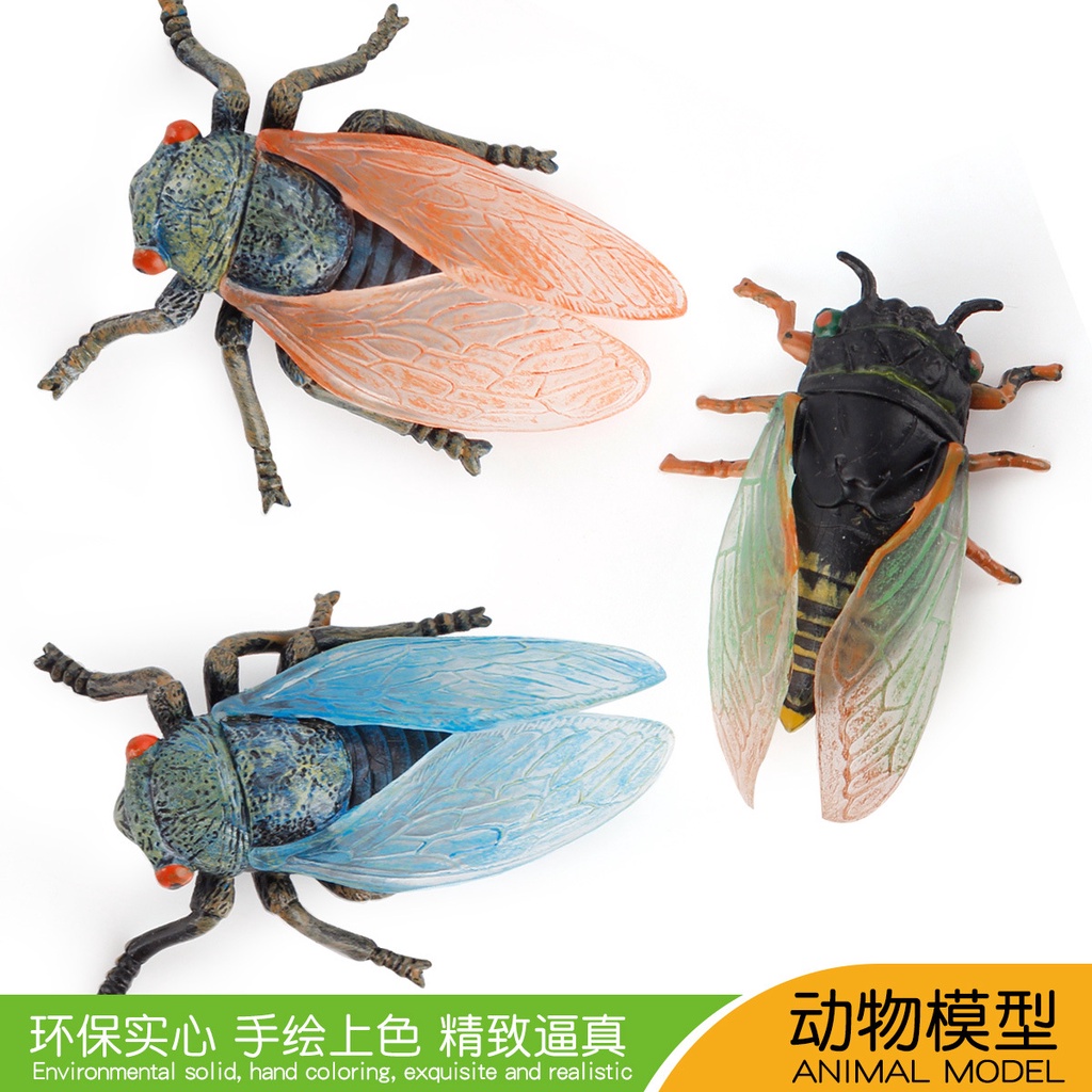 Wholesale manufacturersChildren's simulation of wild animals crawling  insect model toys cicada beetle toy model fun neat