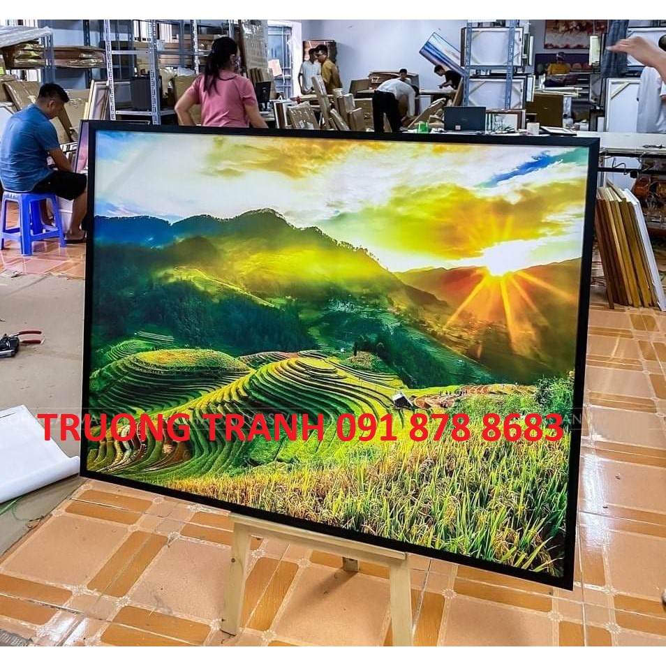 01 Tranh treo tường khung composite tranh canvas cao cấp - tranh ruộng bậc thang sapa