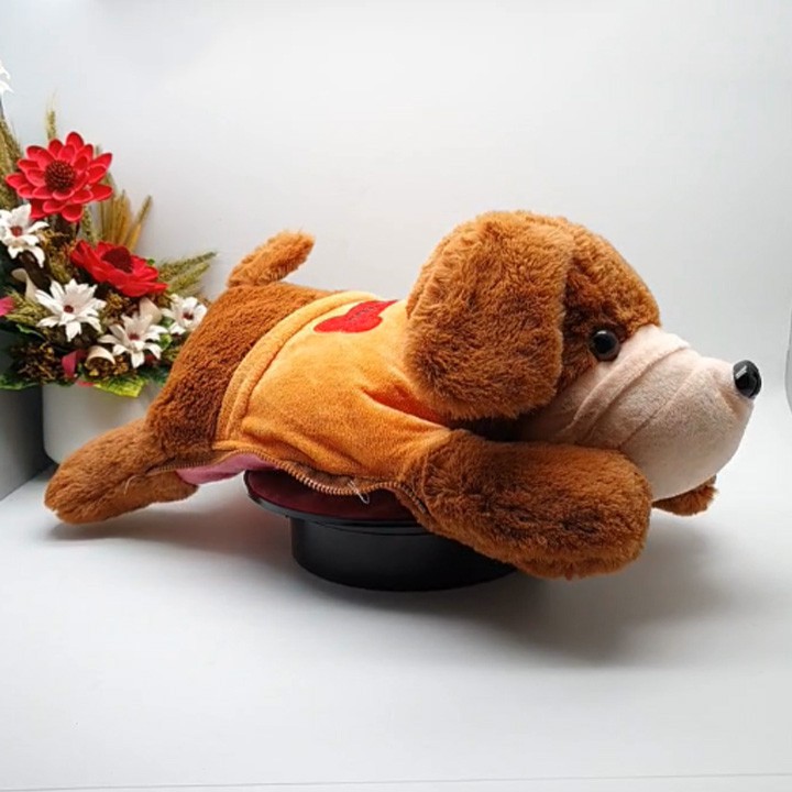 Túi sưởi đa năng siêu dễ thương