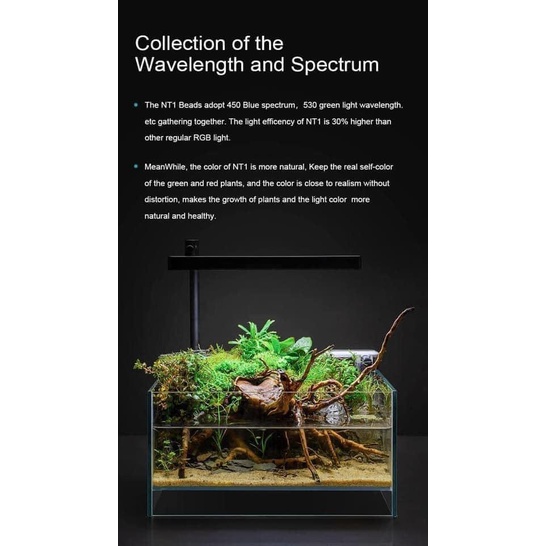 Đèn thủy sinh Netlea nano