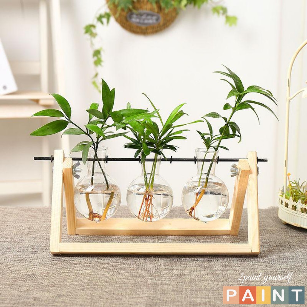 [Mã LIFE2410K giảm 10K đơn 20K] Lọ thủy tinh trồng cây thủy canh đế gỗ, decor trang trí để bàn 2Paint