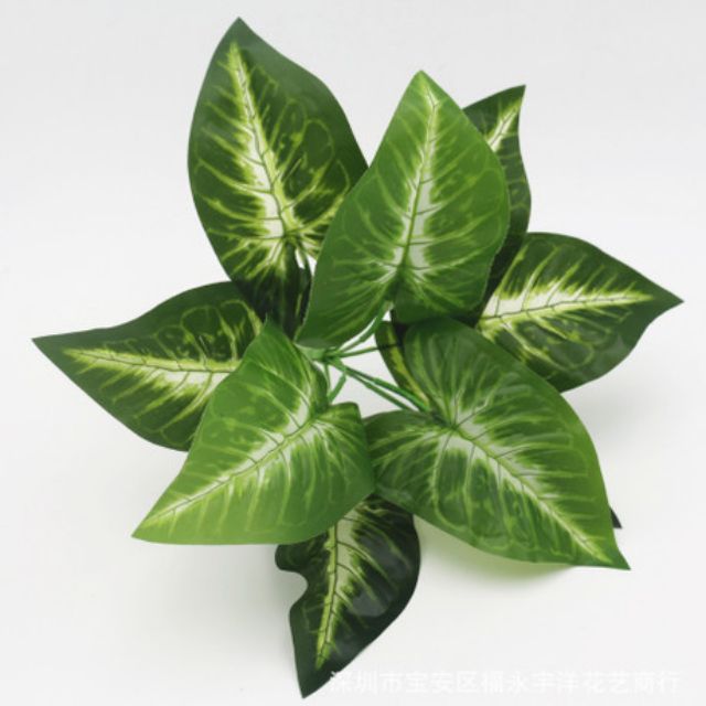 Cụm lá môn trang trí tường - thảm cỏ nhân tạo | BigBuy360 - bigbuy360.vn