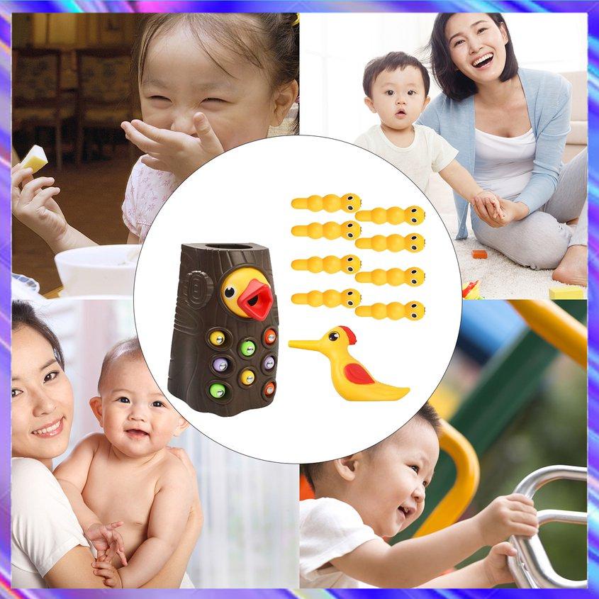 Đồ chơi chim gõ kiến bát giun nam châm thích hợp cho gia đình