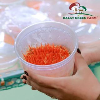 15gr đông trùng hạ thảo khô