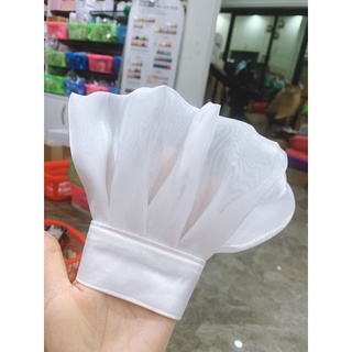 voan ống tay chụp hình