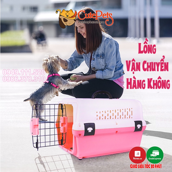 Lồng hàng không vận chuyển chó mèo 3 size - Phụ kiện thú cưng Hà Nội