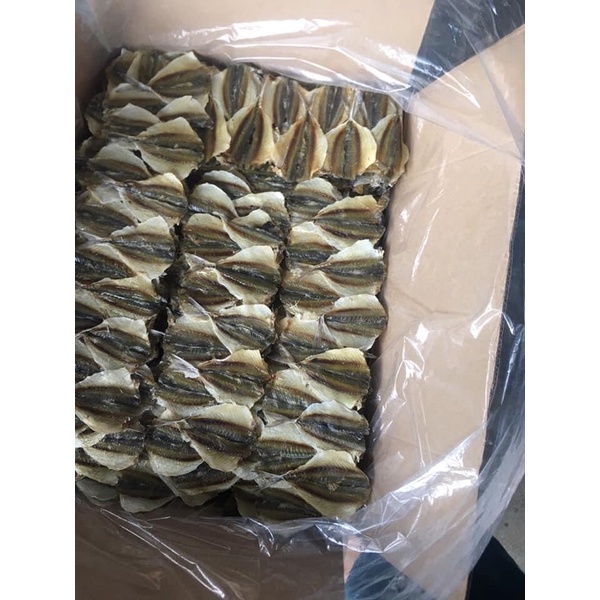 CÁ CHỈ VÀNG LOẠI 1,DÀY MÌNH,NGỌT THỊT,THƠM NGON. | BigBuy360 - bigbuy360.vn