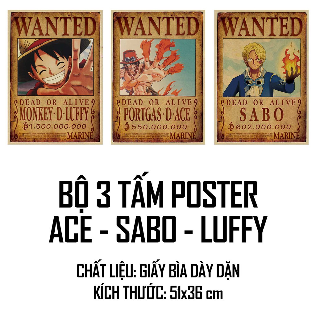 Lệnh truy nã One Piece cỡ lớn Băng Mũ Rơm (10 tờ) -  ALS (3 tờ) cỡ lớn, chất liệu giấy bìa cứng, kích thước 51x36cm