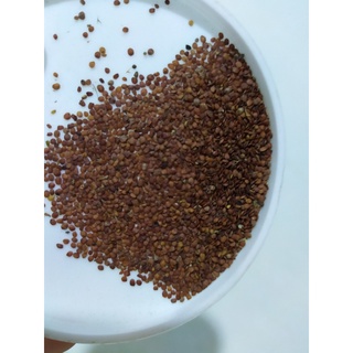 HẠT NGŨ HOA - TÚI 100 GRAM - GOM MỤN, CẤP ẨM