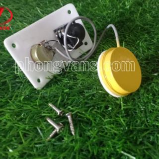 Mobin đàn nguyệt. Đàn sến