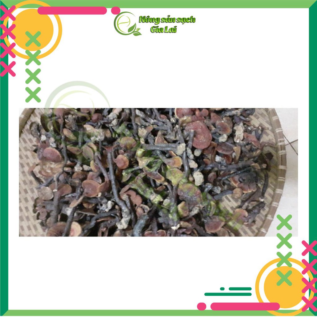 Nấm Lim xanh rừng tự nhiên hàng chuẩn, sản phẩm tốt cho sức khỏe | BigBuy360 - bigbuy360.vn