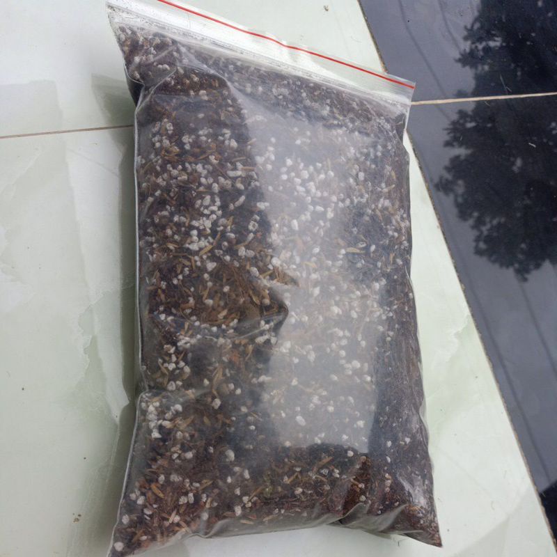 1kg Đất trồng sen đá, hoa hồng, xương rồng, dâu tây.