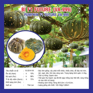Hạt giống Bí Đỏ F1 Future (VA.999)