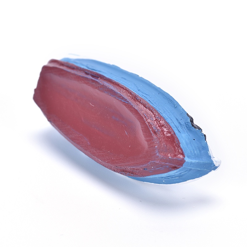 1 Mô Hình Thuyền Thu Nhỏ Diy