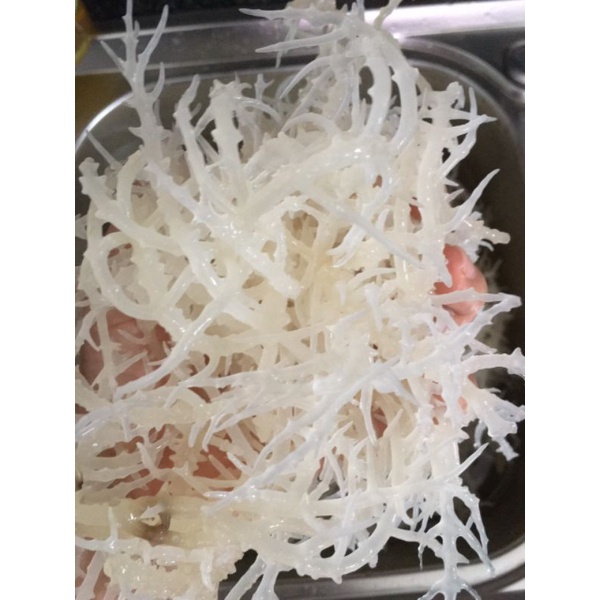 Rong sụn khô 100gr - seamoss/ dried seamoss