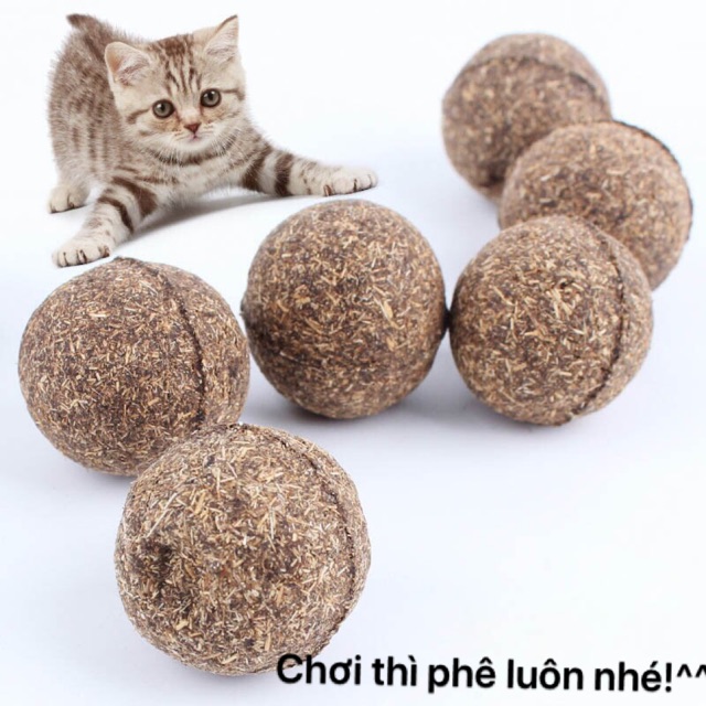 ❌(D014) BÓNG CATNIP CHO MÈO BÉO(9D)