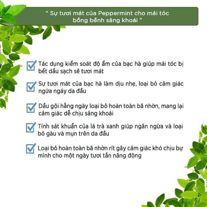Combo Dầu Gội Và Dầu Xả Sạch Gàu Cho Tóc Dầu Around Me Peppermint Hair Shampoo Hương Bạc Hà 500ml/chai