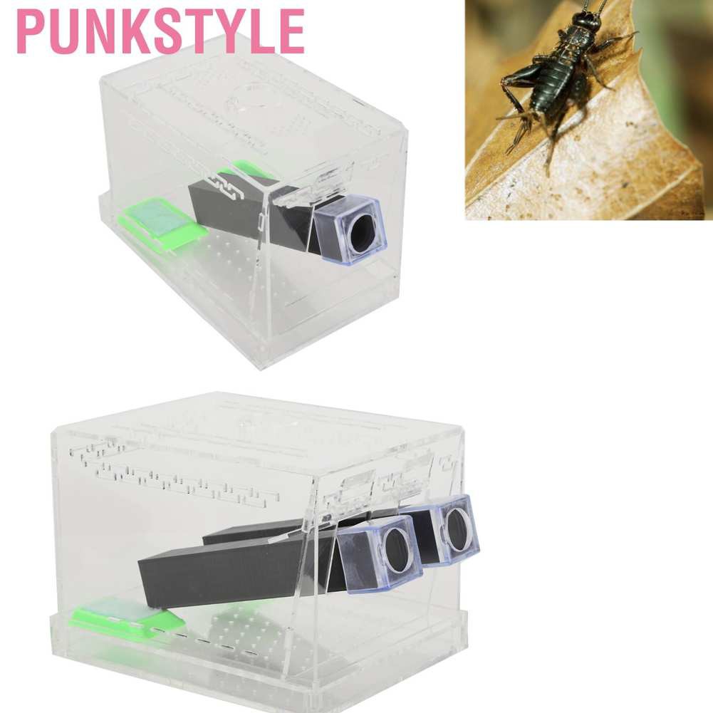 Punkstyle Acrylic Feeding Cricket Keeper Pen with Tubes Insect Cockroach Care Kit Reptile Tank Box