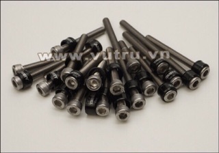 Bộ ốc máy lông đền màu ( các loại xe )